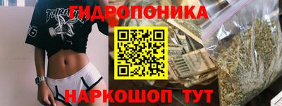 PSILOCYBIN Камышлов