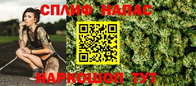 PSILOCYBIN Камышлов