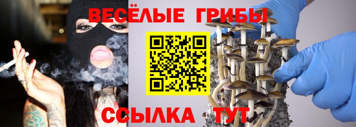 Псилоцибиновые грибы MAGIC MUSHROOMS Ярцево