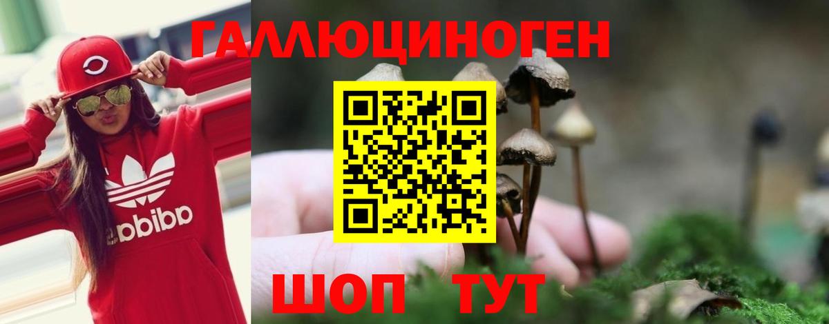 Галлюциногенные грибы GOLDEN TEACHER  Вход с VPN  Ярцево 
